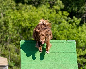 20160619-CCKC-0199.jpg