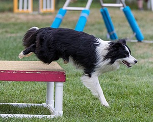 20200819-2870.jpg