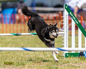 20180617-1409.jpg