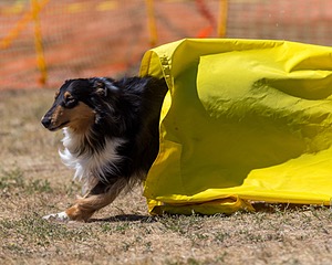 20160619-CCKC-1627.jpg
