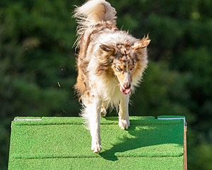 20160618-CCKC-2443.jpg