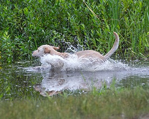 20130713-MHB2-0218.jpg