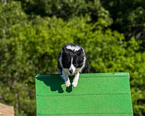 20160619-CCKC-0107.jpg