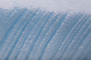 20260321-0260.jpg