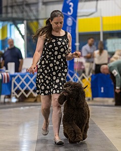 355 - GCH Ildanoch's Party Rock Anthem