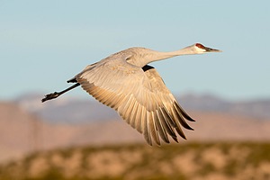 20151206-1676.jpg