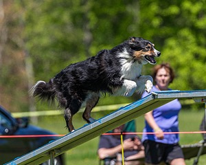 20170520-NEAT-1127.jpg