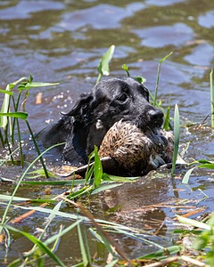 Ty Kegeles