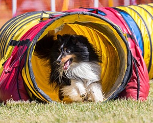 20180617-0566.jpg
