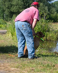 Gator Roche
