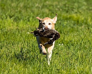20220605-FINL-0017.jpg
