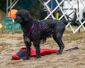 20210912-MWD-0108.jpg