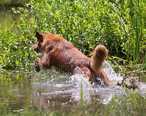 20130714-MHB2-0075.jpg