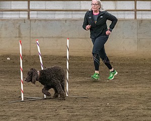 20190513-AG-0297.jpg