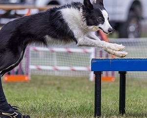 20230917-PVKC-2749.jpg