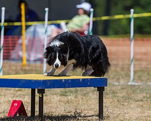 20160619-CCKC-1224.jpg