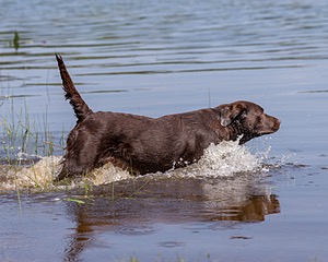 Molly Brownell