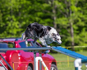 20170520-NEAT-0100.jpg