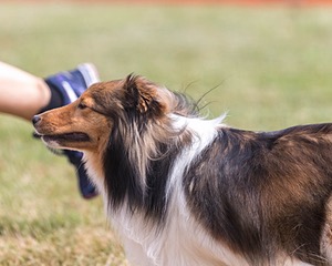 20200819-1101.jpg