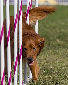 20230916-PVKC-1410.jpg