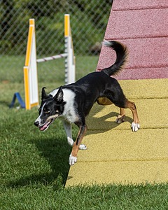 20200819-0673.jpg