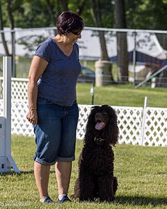 16 - GCH CH Chantico's Shelter From The Storm CD RA MX AXJ MXP2 MJP2 MJPB XF DS (Reef)
