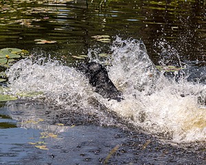20210606-SEAW-1418.jpg