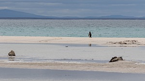 20191214-0435.jpg