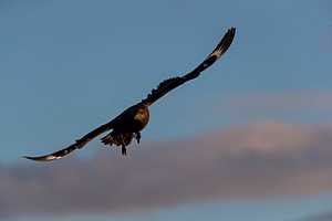 20191212-0907.jpg