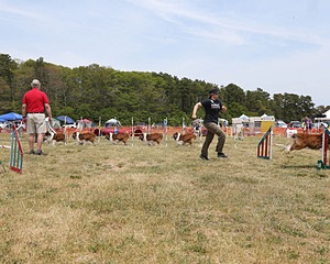 20150612-CCKCMC-0038.jpg