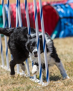 20160618-CCKC-1586.jpg
