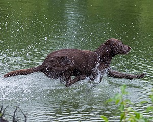 20210725-SHW-0018.jpg