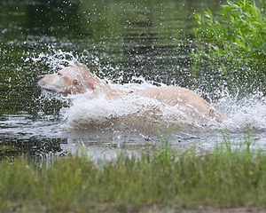 20130713-MHB2-0268.jpg