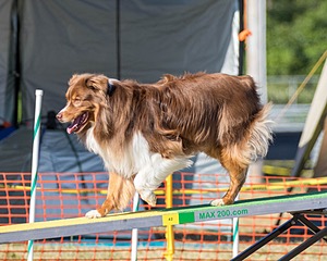 20160618-CCKC-2451.jpg
