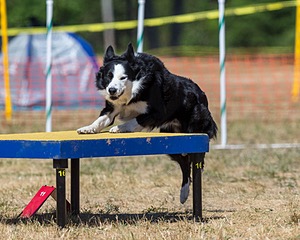 20160619-CCKC-1445.jpg