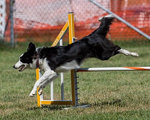 20200819-2165.jpg