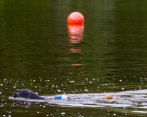 20210912-MWD-0101.jpg