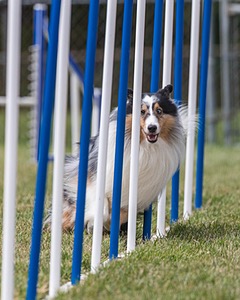 20200819-2146.jpg