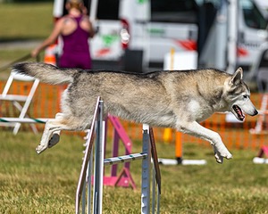 20180617-1635.jpg