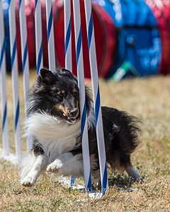 20160618-CCKC-1686.jpg