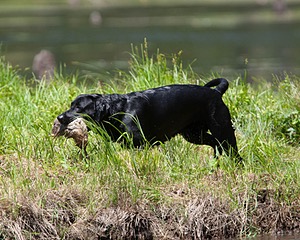 20130602-SEAW-0371.jpg