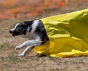 20160619-CCKC-1698.jpg