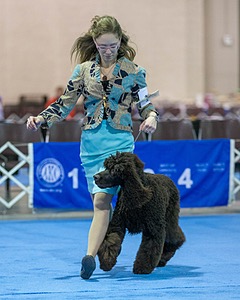 10 - Poole's Ide Touch Of Mink (Darla)