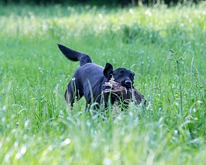 20160604-SEAL-0003.jpg