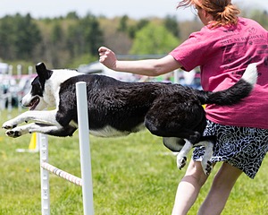 20160514-NEAT-0743.jpg