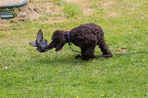 20190512-BD-0064.jpg
