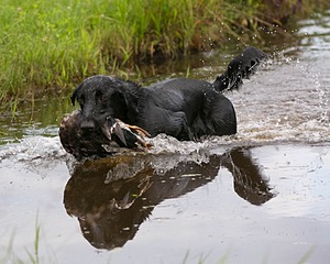 20130713-MHB2-0196.jpg
