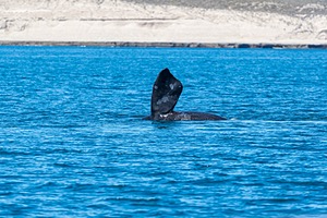 20191201-0062.jpg