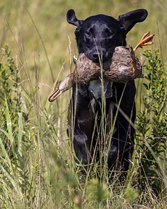 Oden Smith