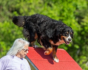 Zurri Brickach
